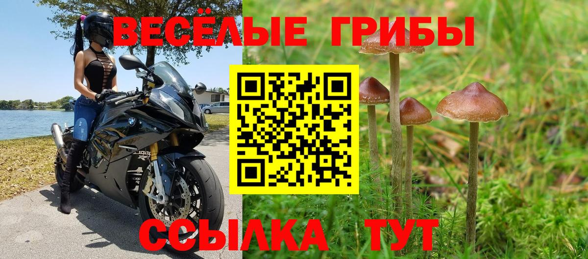 Троицк  Галлюциногенные грибы Cubensis  Вход с VPN  Псилоцибиновые грибы Cubensis 