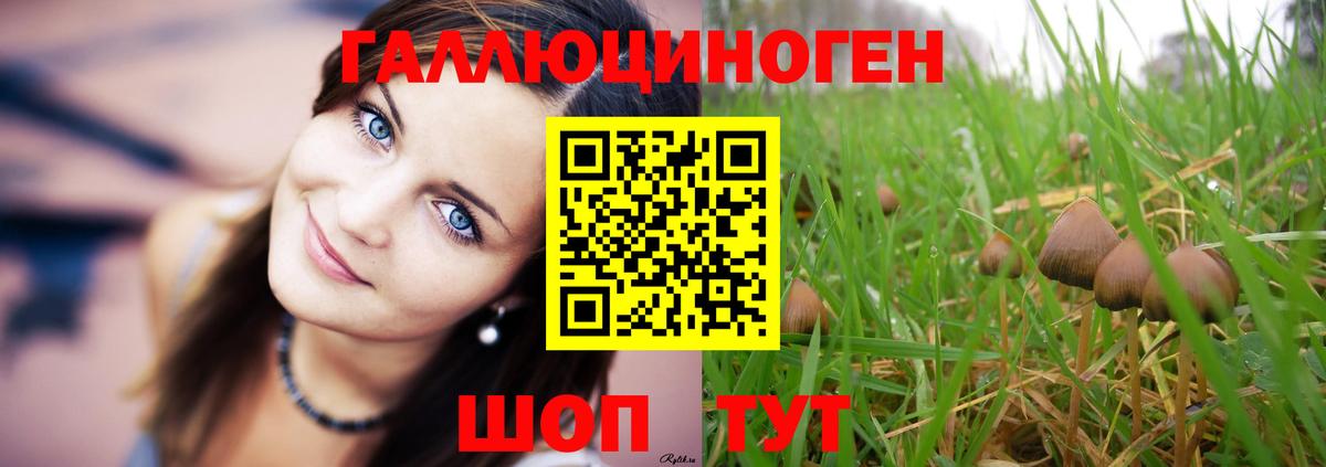 Галлюциногенные грибы GOLDEN TEACHER Троицк